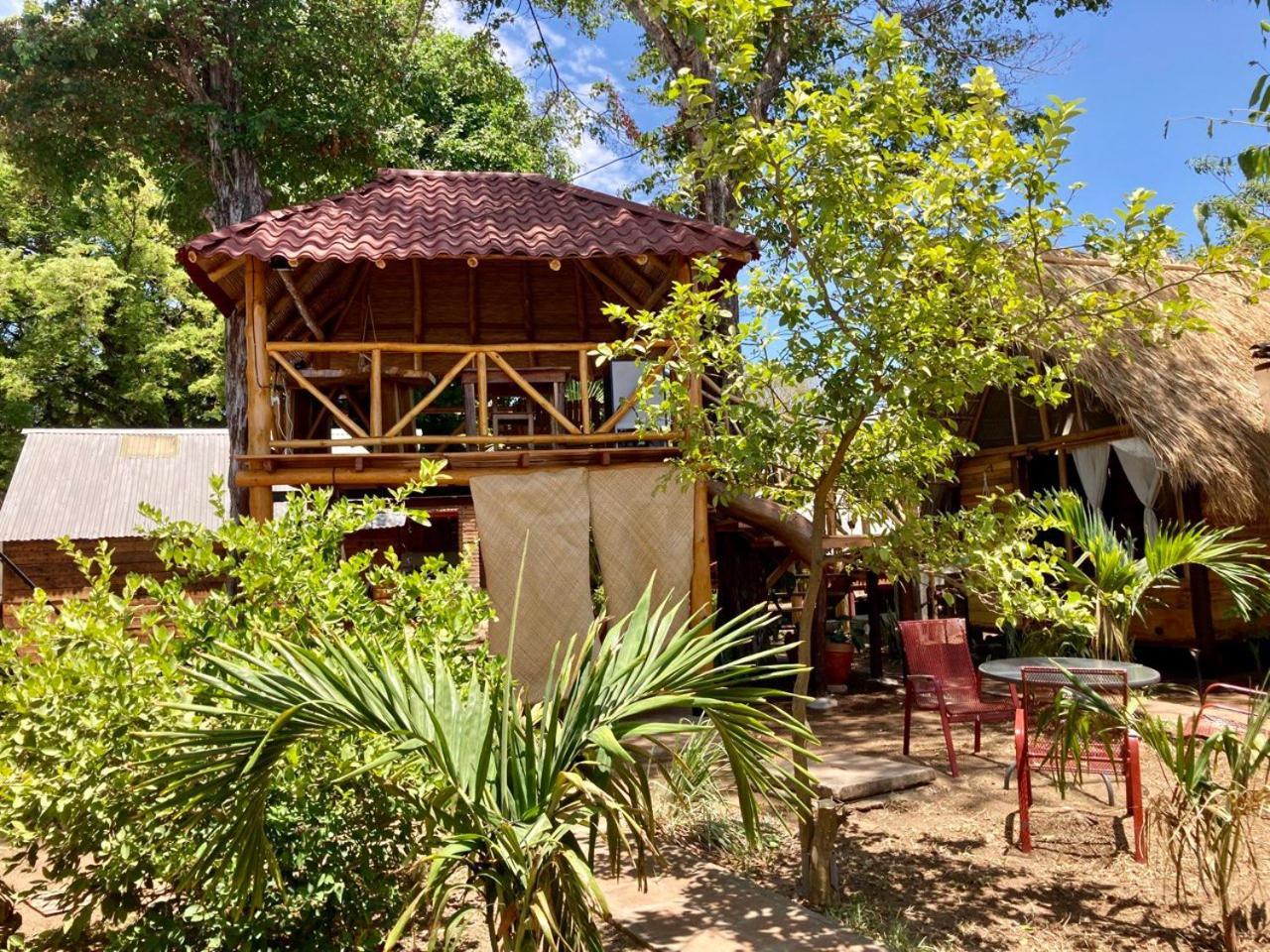 Casa Caracola Ξενοδοχείο Granada Εξωτερικό φωτογραφία